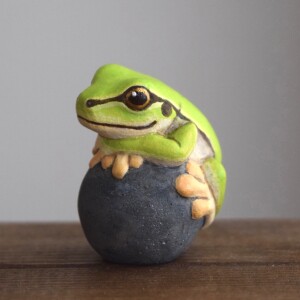 2025もっちょこ1