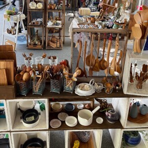 2025秋エントリー写真2(リバリスランド)